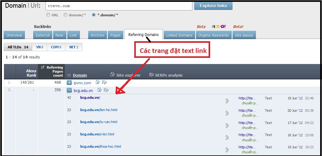 cac trang dat text